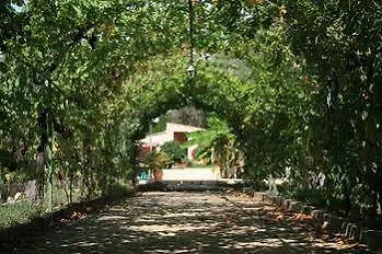 Mas Des Oliviers Bed and breakfast Niza